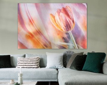Tulpe in ihrer ganzen Schönheit von Ellen Driesse