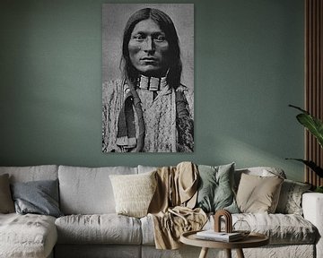 Native American (Indiaan)