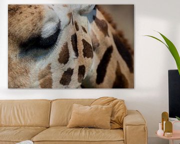 Het oog van de Giraffe van Loes Fotografie