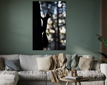 Eekhoorn silhouet van Danny Slijfer Natuurfotografie