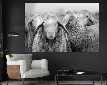 Kudde schapen zwart en wit van Michael Valjak