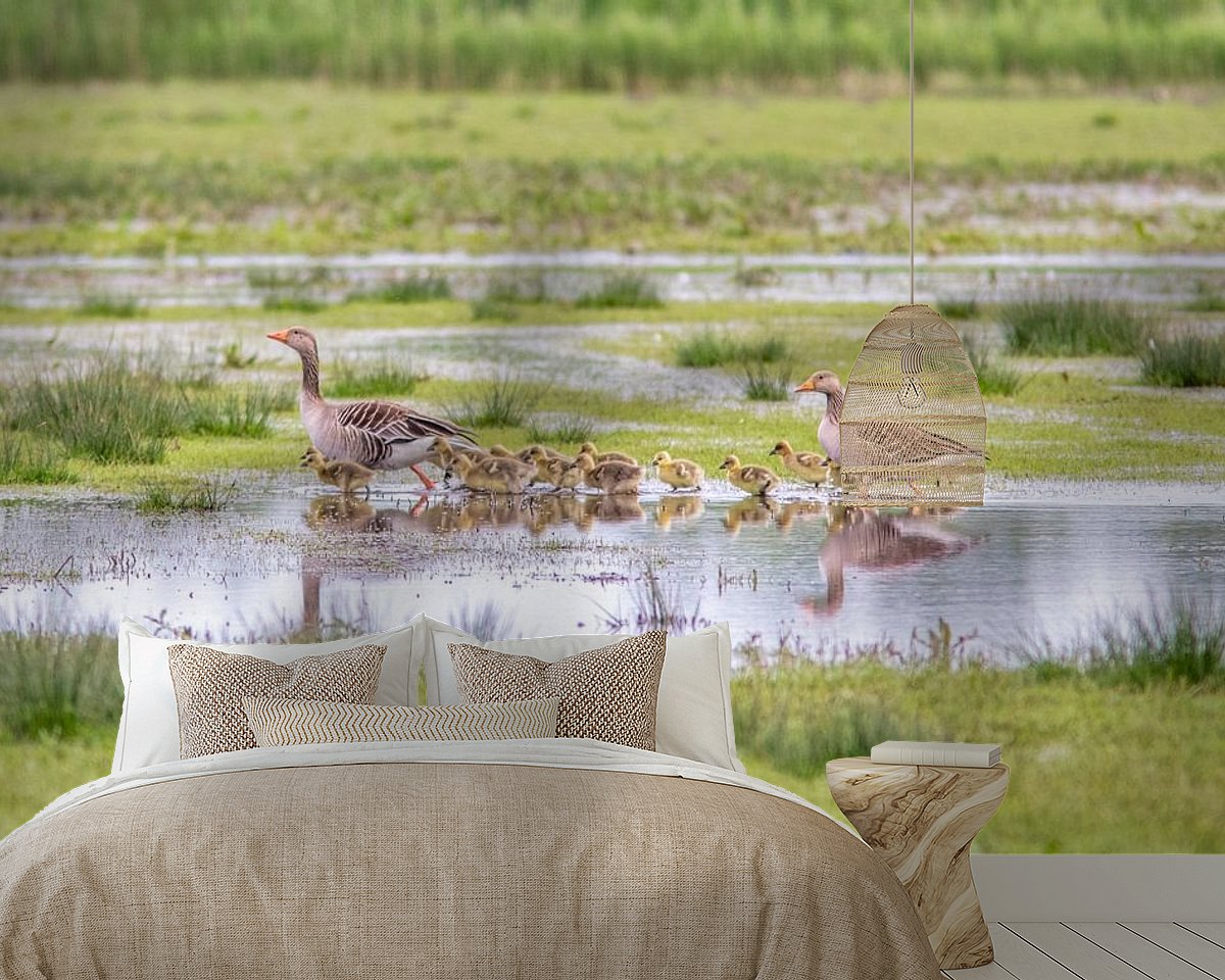 Raumvorschau