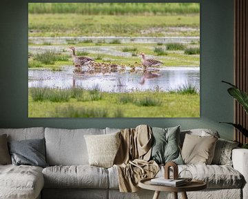 L'oie en famille dans le Polder sur Ellen Thomassen