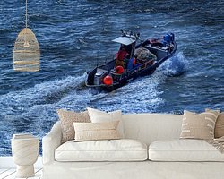 Aperçu de la chambre