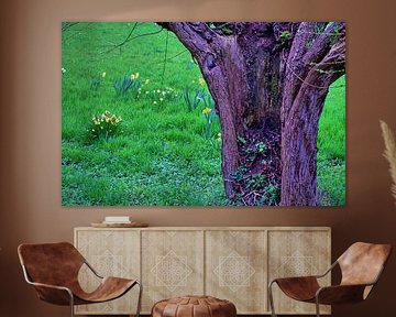 HDR tree
