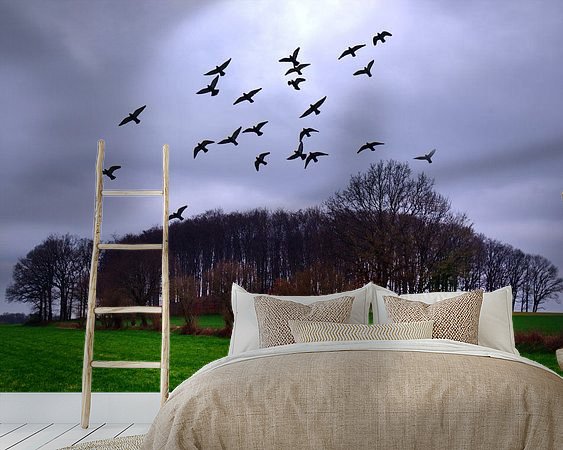 Aperçu de la chambre