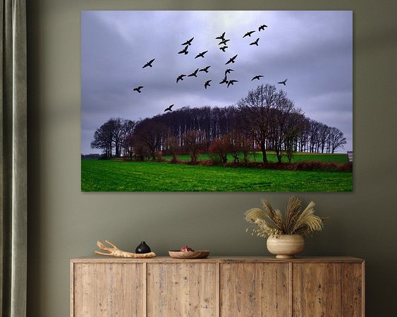 Aperçu de la chambre