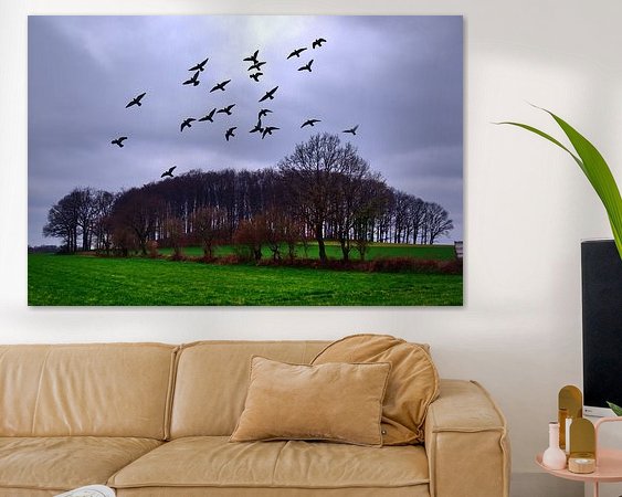 Aperçu de la chambre