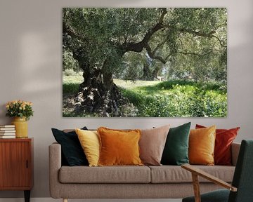 Ancient olive tree in spring II by Jan Katuin