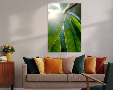 botanische planten kunst met tegenlicht van Karijn | Fine art Natuur en Reis Fotografie