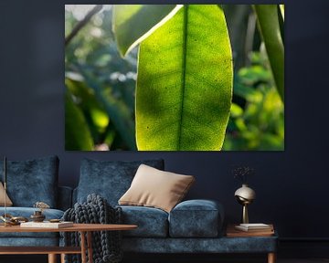 macrophoto d'une plante verte avec des veines, photographie botanique sur Karijn | Fine art Natuur en Reis Fotografie