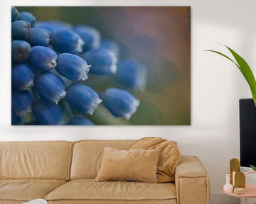 Muscari, blue grape with bokeh by Lindy Schenk-Smit