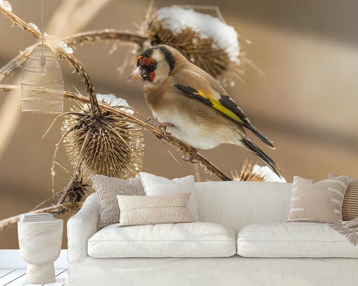 Raumvorschau