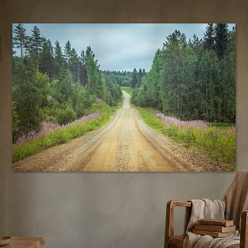 Kiefern entlang einer unbefestigten Straße in Finnland