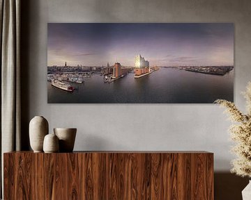 Panorama van de skyline van Hamburg met weerspiegeling