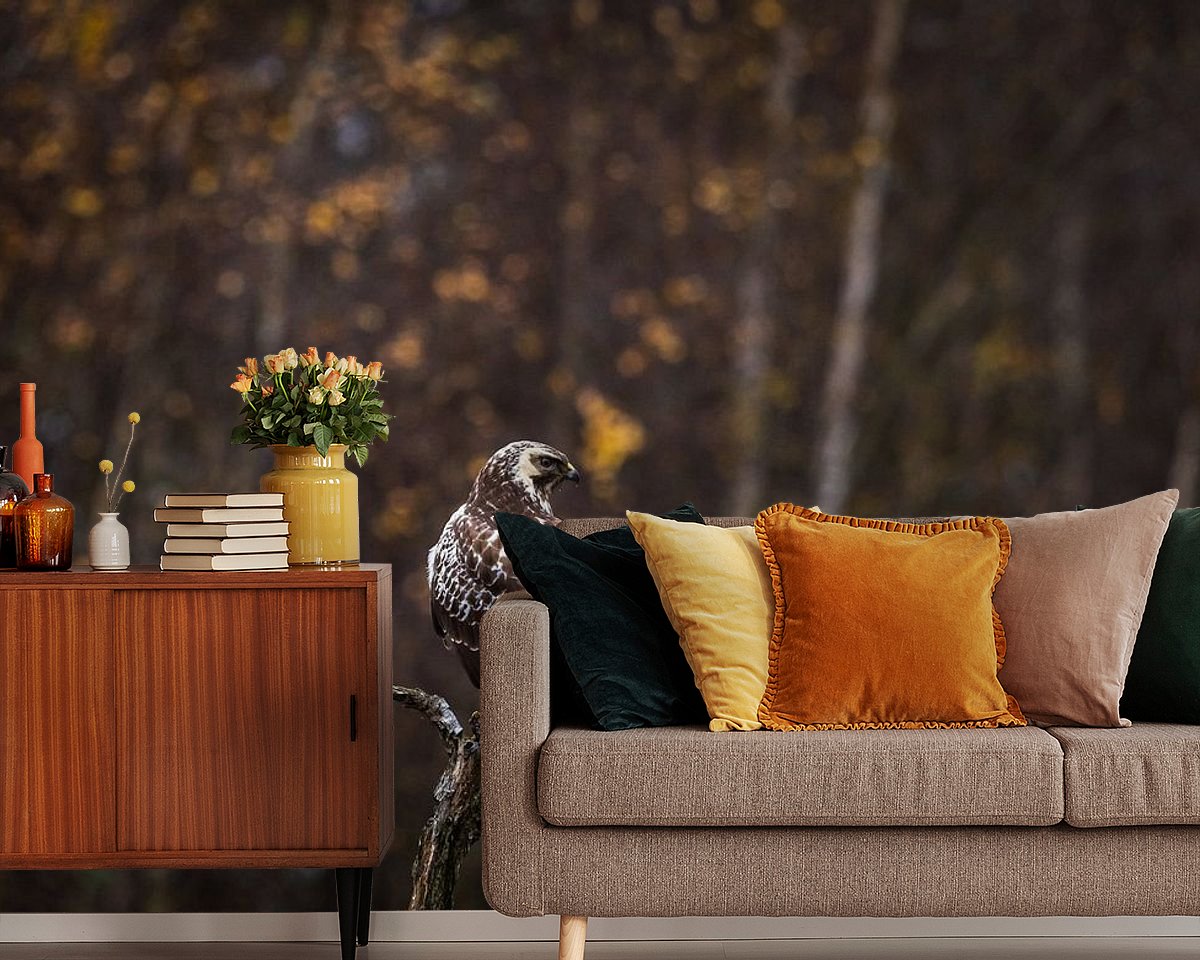 Raumvorschau