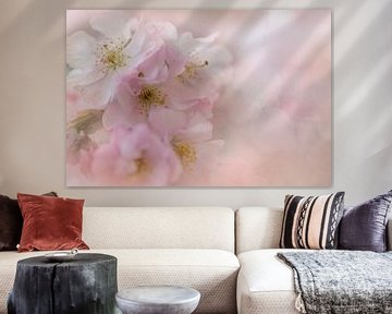 Blossom of the Japanese cherry by Truus Nijland