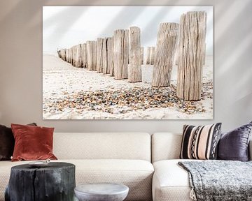 Poles and shells on the beach in Domburg by Dana Schoenmaker