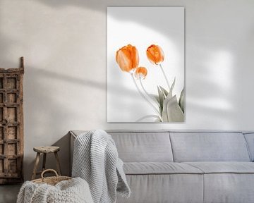 three tulips von Michael Schulz-Dostal