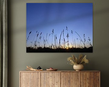 Silhouetten van grassen op het blauwe uur van Katrin May