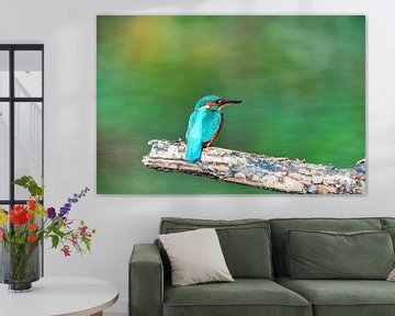 Wonderful colors of the nature by DayDreamZ