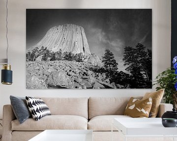 Analog bw photo of the Devils Tower between trees, Wyoming by Gerwin Schadl