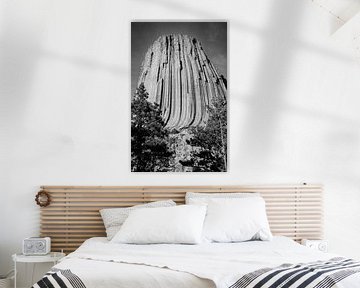 Photo analogique en noir et blanc de la Devils Tower entre les arbres, WyominDevils Tower au coucher sur Gerwin Schadl