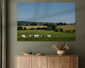 Koeien in Zuid-Limburgs Landschap van Els Korsten
