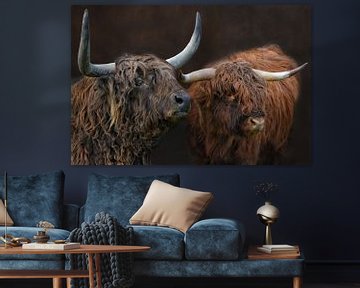 Scottish highland cattle in the Black Forest print by Joachim G. Pinkawa