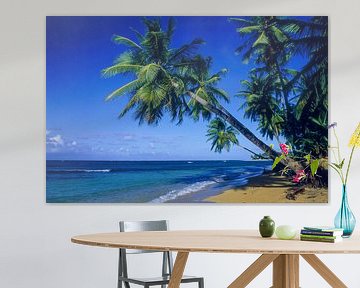 Caribisch strand met kokospalmen en blauwe lucht van Gerwin Schadl