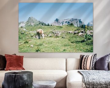 Koe in de Alpen van Patrycja Polechonska