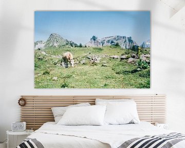 Kuh in den Alpen von Patrycja Polechonska