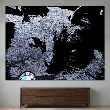 Kattenkunst - Britt 1