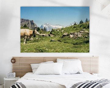 Vache beige dans les montagnes sur Patrycja Polechonska