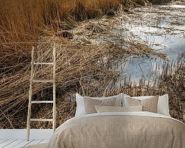 Gebrochenes Schilf am Rande eines Baches