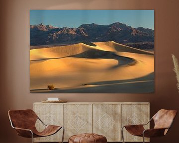 Mesquite zandduinen bij zonsopgang, Death Valley National Park, VS van Markus Lange