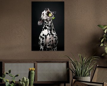 Dog with cucumber 2/3 by Lotte van Alderen