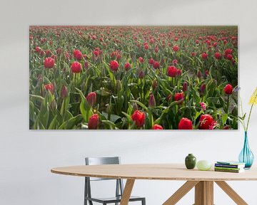 Rode tulpen van Anita Loos