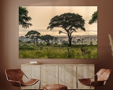 Afrikanische Landschaft von Frans Bouman