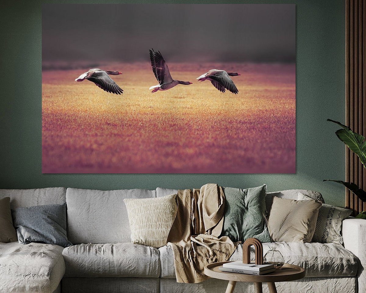 Voorbeeld van het werk in een kamer