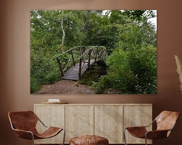 Sprookjesachtig houten bruggetje over een klein watertje in een natuur wandelgebied van Robin Verhoef