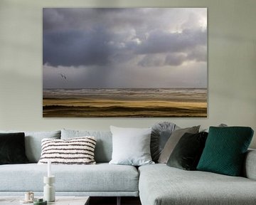 Een meeuw vliegt boven stuifzand met donkere wolken aan de horizon van Menno van Duijn