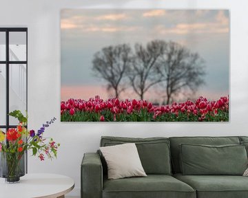 Tulpenvelden in Meerdonk van Jim De Sitter