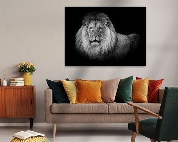 Löwen: liegender Löwe in Schwarz und Weiß