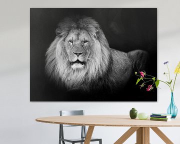 Leeuwen: liggende leeuw in zwart-wit