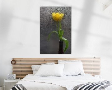 Sparkling by Jean Arntz