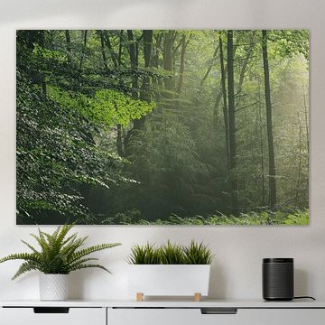 Fresh green in the forest by Marloes ten Brinke