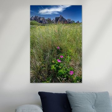 Sylt rozen met rieten huizen, Sylt