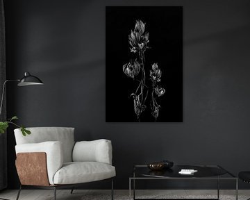 Stillleben getrocknete Blume Kunstwerk in schwarz und weiß