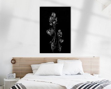 Stilleven opgedroogde bloem kunstwerk in zwart wit